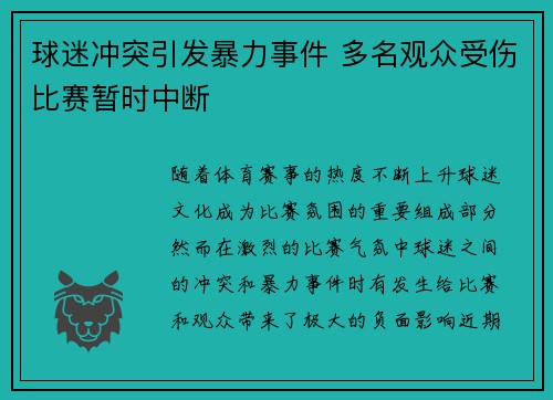 球迷冲突引发暴力事件 多名观众受伤比赛暂时中断